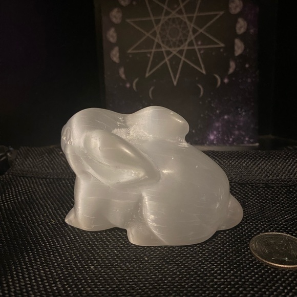❤️Satin Spar Rabbit - Picture 5 of 5